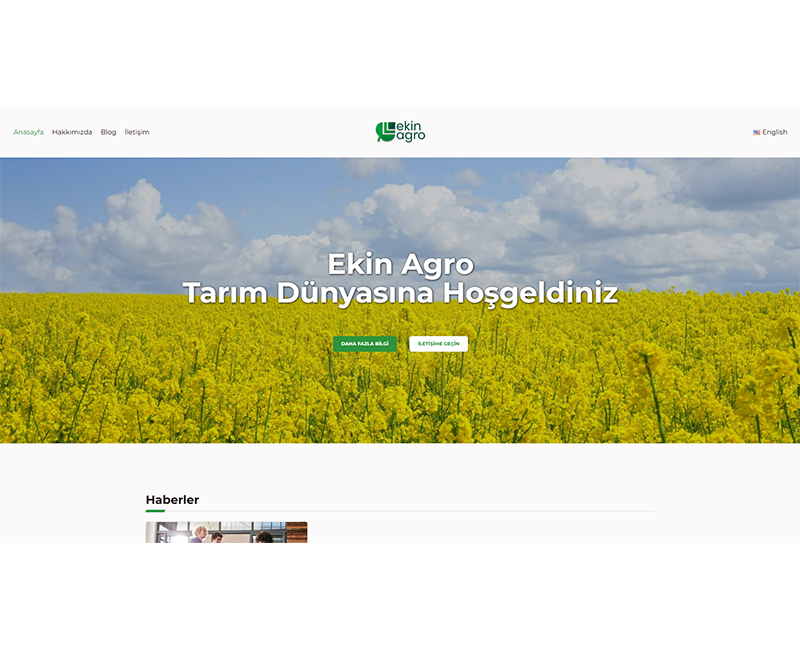 Web Tasarım